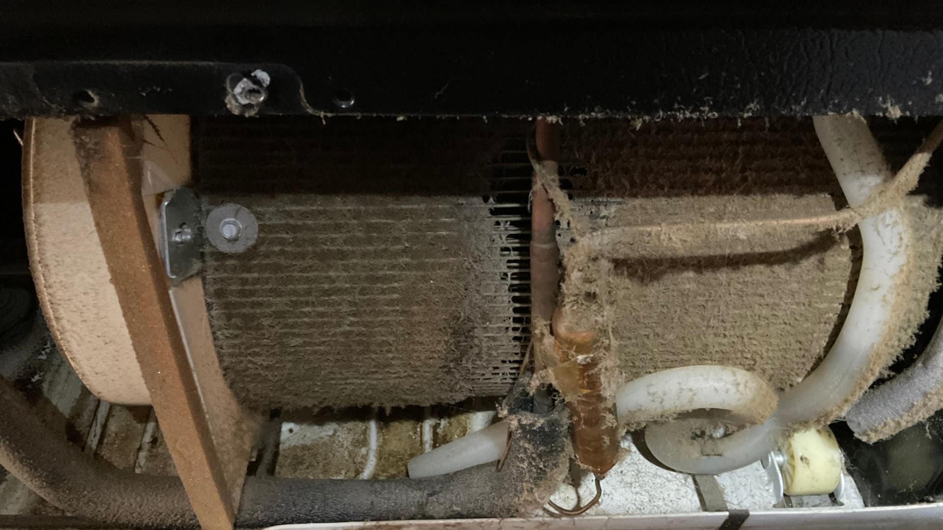 Featured image for “How to Clean Your Refrigerator’s Condenser Coils”